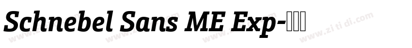 Schnebel Sans ME Exp字体转换